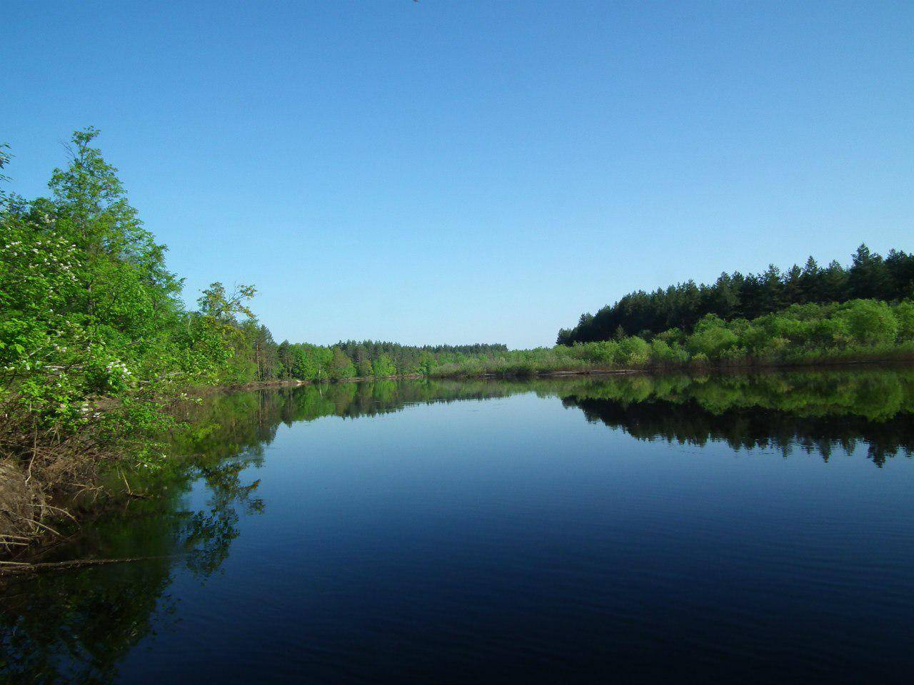 Река водный объект. Малая Кокшага Марий Эл. Большая Кокшага (река). Река большая Кокшага Марий Эл. Река малая Кокшага Марий Эл.