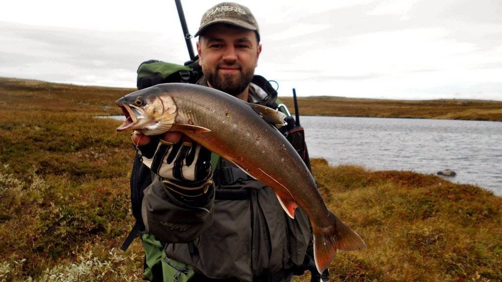 15 лучших рыболовных мест псковской области. бесплатные и платные | животный мир