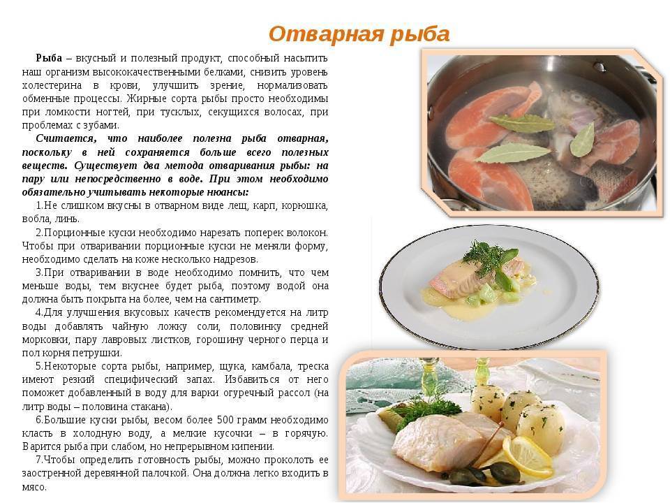Тилапия в кляре — 7 рецептов приготовления на сковороде и в духовке - aterry.info