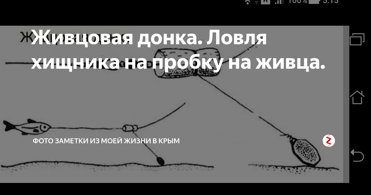 Ловля на донку с берега: снасти, техника, советы и рекомендации