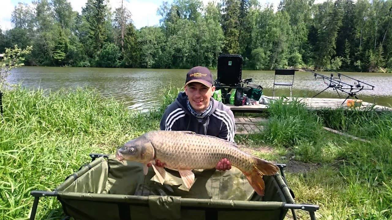 Львовские пруды платная рыбалка. Львовские пруды. Рыбалка во Львовском. Львово рыбалка. Рыбалка село Львовское.