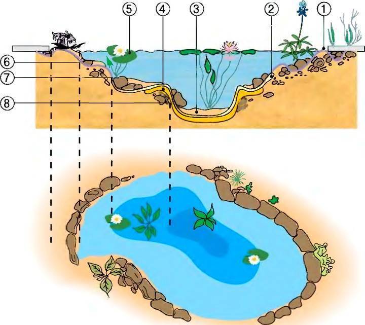 Конструкция водоема. Разрез искусственного водоема. План декоративного водоема. Искусственный водоем схема. Глубина искусственного пруда.
