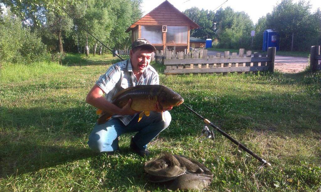 Платная рыбалка домодедовский