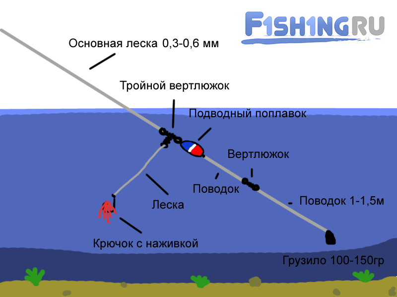 Рыбалка на кольцо: ловля рыбы снастью, монтаж рыболовной оснастки. как можно рыбачить с берега?