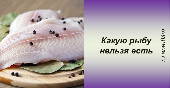 13 видов рыбы, которые нельзя есть