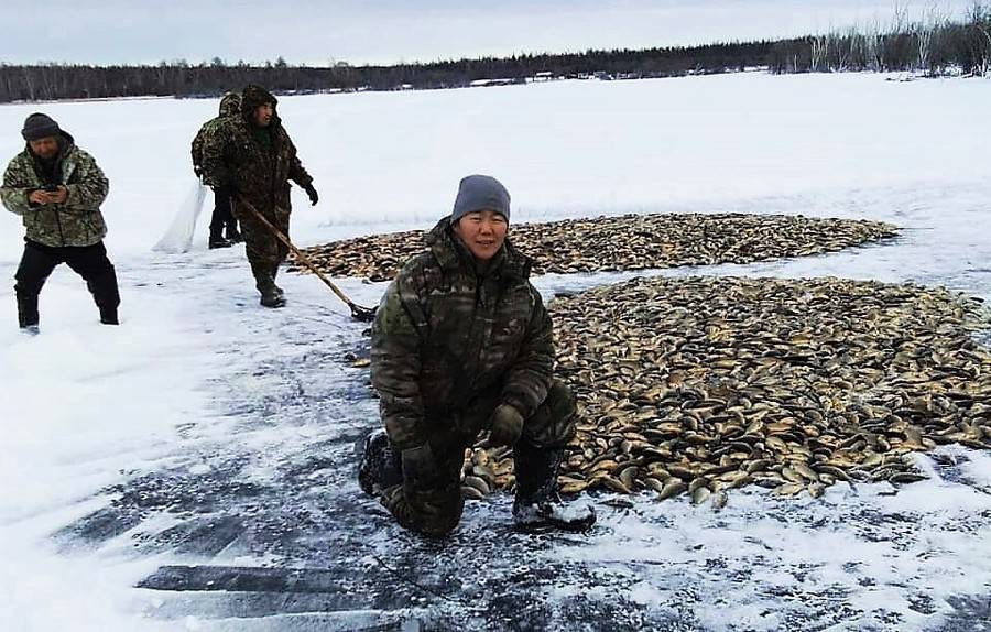 Охота и рыбалка видео новинка. Мунха в Якутии. Рыбалка Саха Якутия. Рыбалка в Якутии зимой. Карась Кобяйский Якутия.