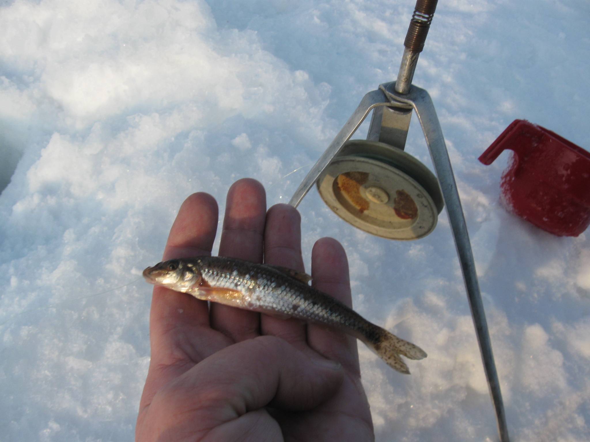 Рыбалка на зимние жерлицы для ловли щуки, налима, судака, окуня