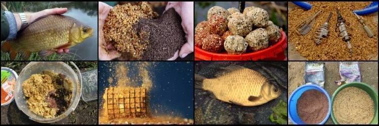 Комбикорм для рыбы: готовим прикормку и используем в виде насадки