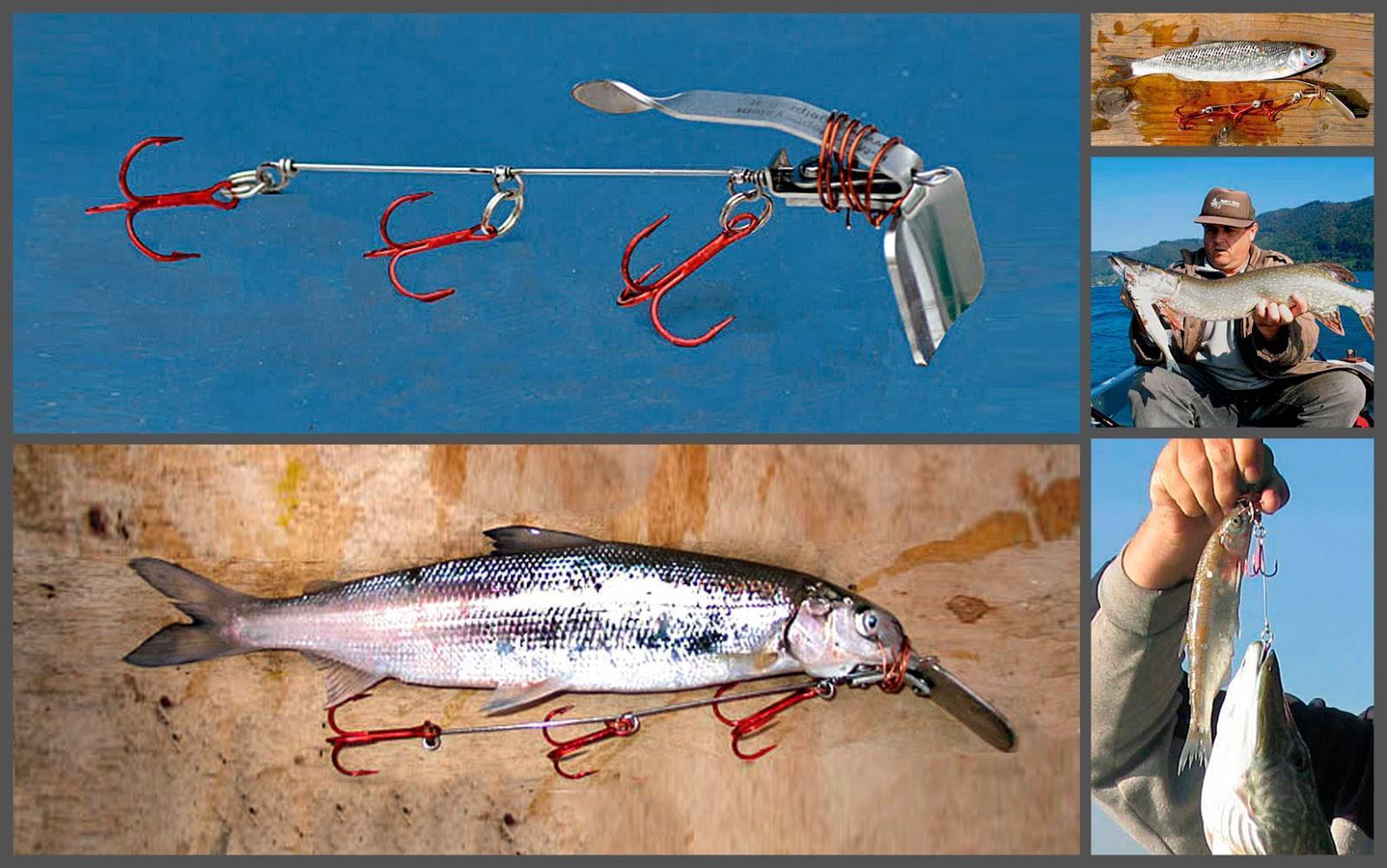 Ловля судака: выбор снасти, наживки и места рыбалки
