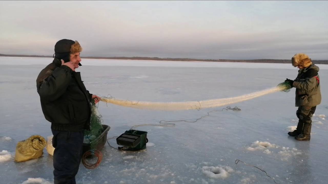 Можно ли ставить сети. Сети для зимней рыбалки. Сетка для подледной рыбалки. Сети зимой под лед. Рыбалка сетями зимой.