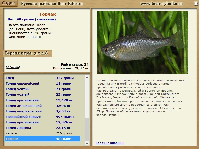 Горчак фото и описание – каталог рыб, смотреть онлайн