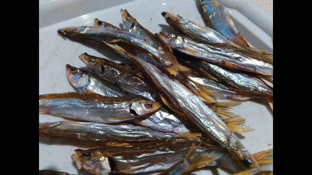 Несколько способов приготовления вяленой корюшки