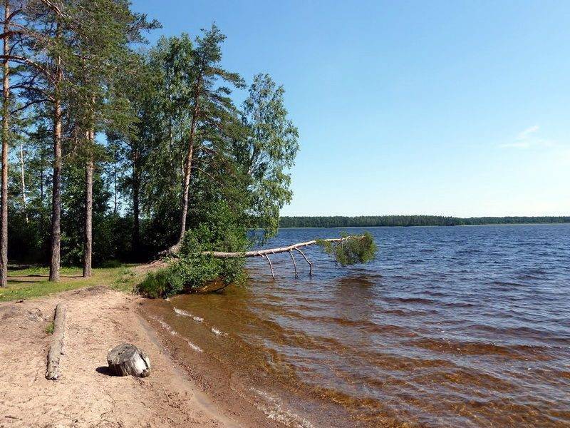 Озеро донцо в ленинградской области