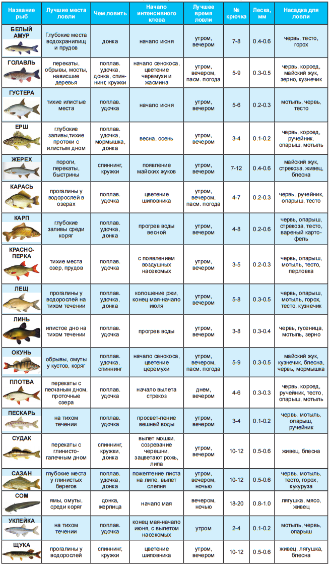 Время года ловли. Таблица рыболова. Рыбы таблица. Таблица для рыбаков. Таблица ловли рыбы.