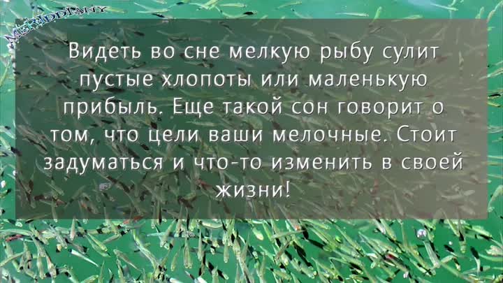 К чему снится мертвая рыба: толкование сновидения по сонникам и основным значениям - tolksnov.ru