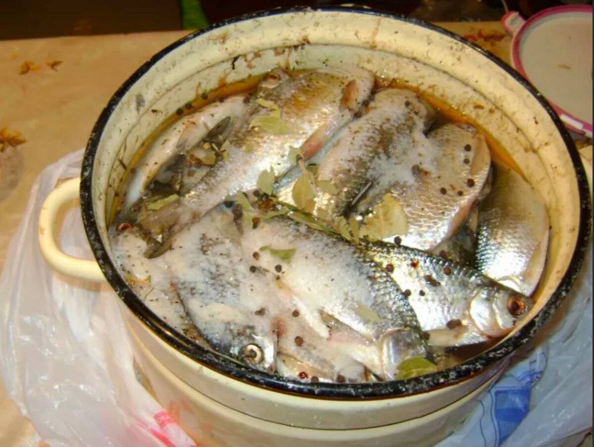 Вялить рыбу в домашних условиях просто и это очень вкусно