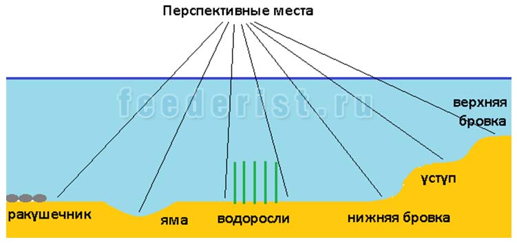 Что такое бровка? как ее найти? значение бровки на рыбалке