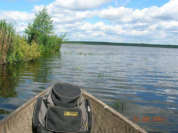 Липовское озеро в ленинградской области — на карте, как добраться, отзывы, база отдыха, рыбалка, фото