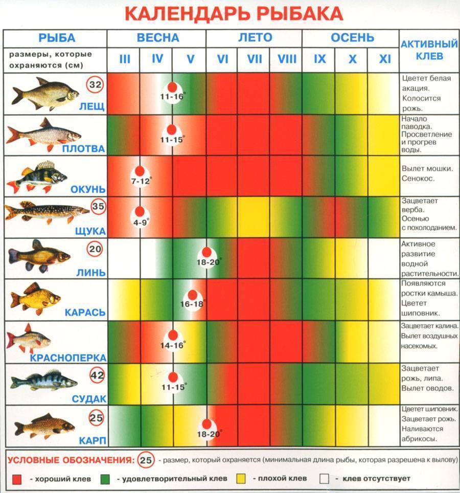 Прогноз клева рыбы на пять дней » календарь рыболова » мир улова