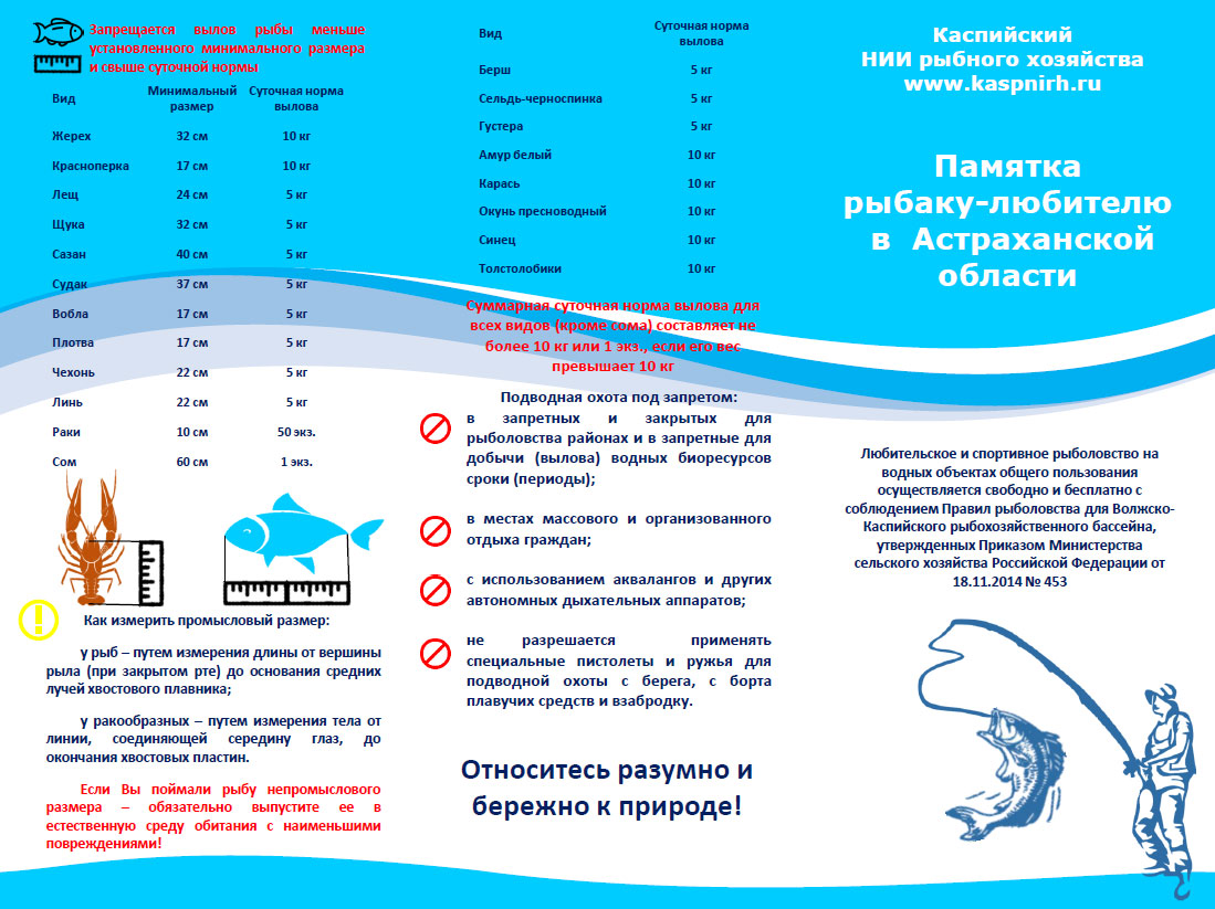 Бизнес план ловля рыбы