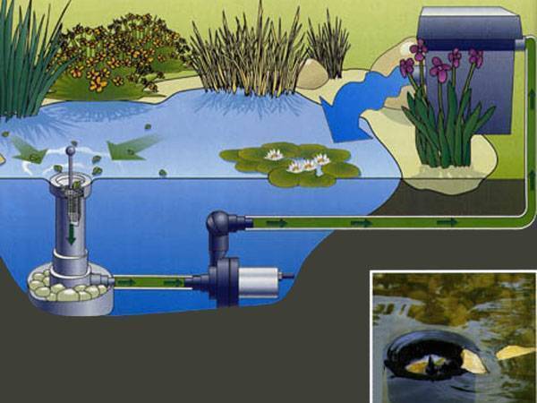 Аэраторы для пруда и аквариума: устройство и преимущества использования, обзор видов
