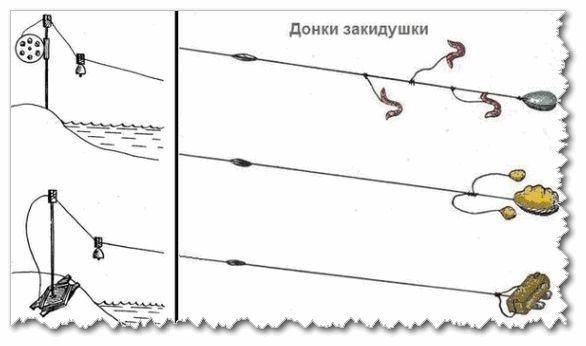 Ловля карася на фидер: оснастка для стоячей воды и течения