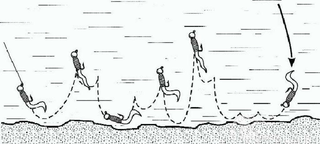 Ловля окуня на спиннинг с берега: места ужения и выбор приманки