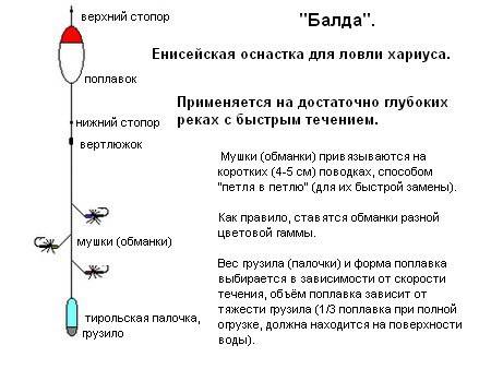 Как приготовить тесто для ловли плотвы весной