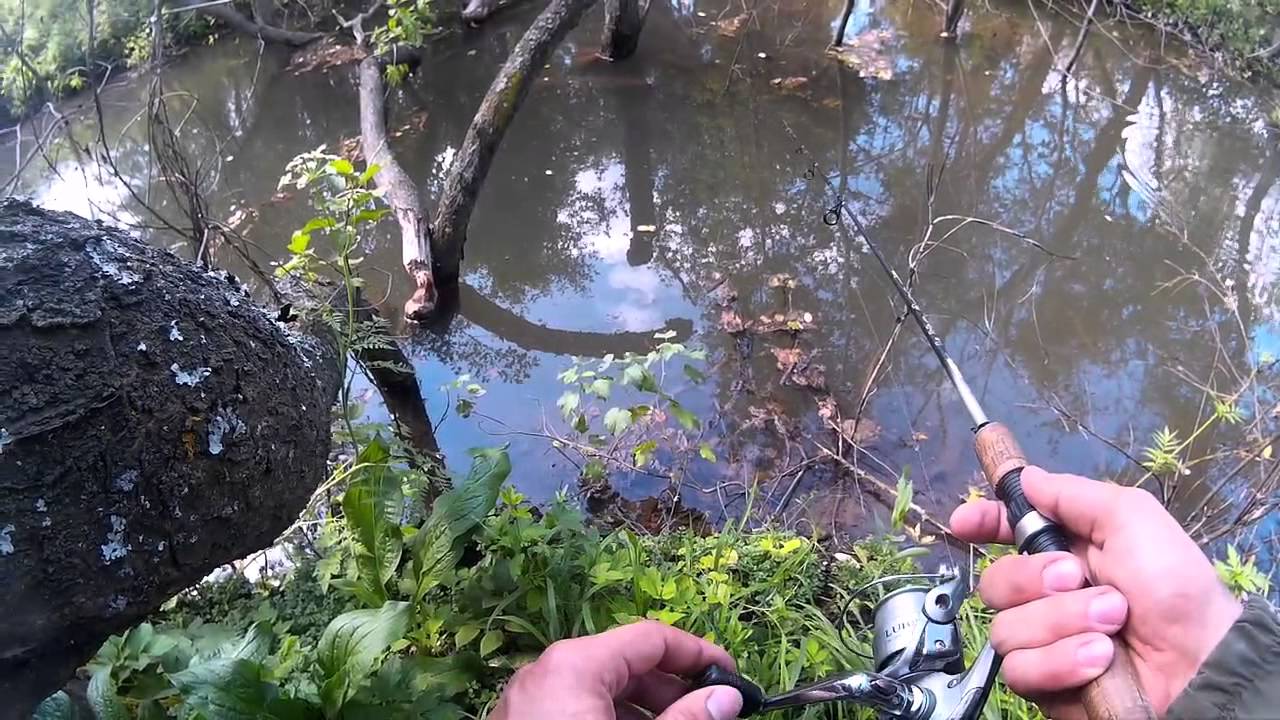 Как ловить форель на спиннинг: секреты рыбалки