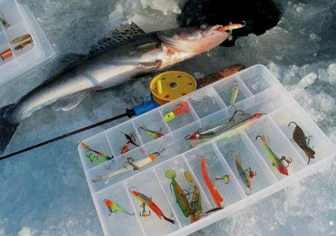 Как ловить судака зимой на балансир: техника и тактика ловли, обзор лучших уловистых балансиров