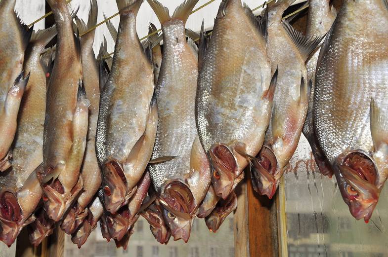 Вяленая рыба в электросушилке – кулинарный рецепт