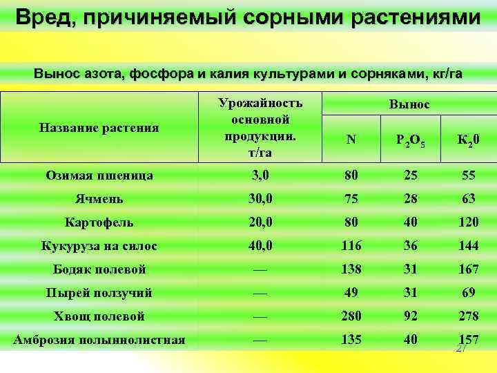 Какие питательные вещества теряются при приготовлении пищи?