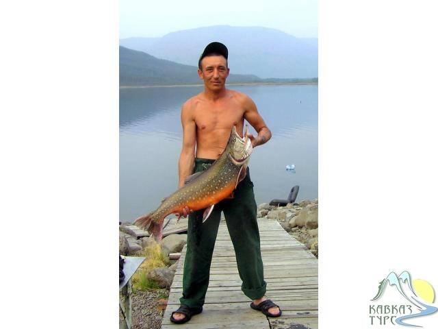 Все про тростенское озеро: рыбалка, фото, отзывы, отдых