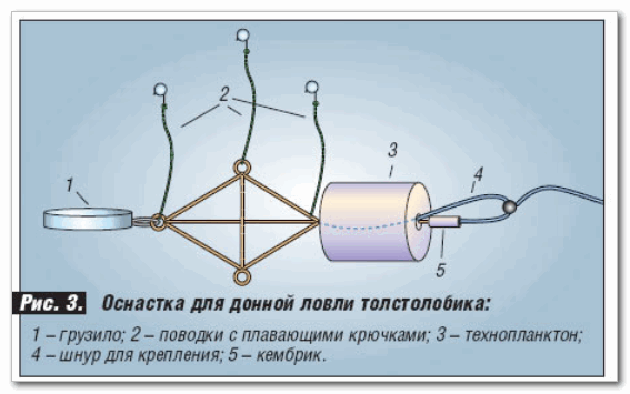 технопланктон для толстолобика форма