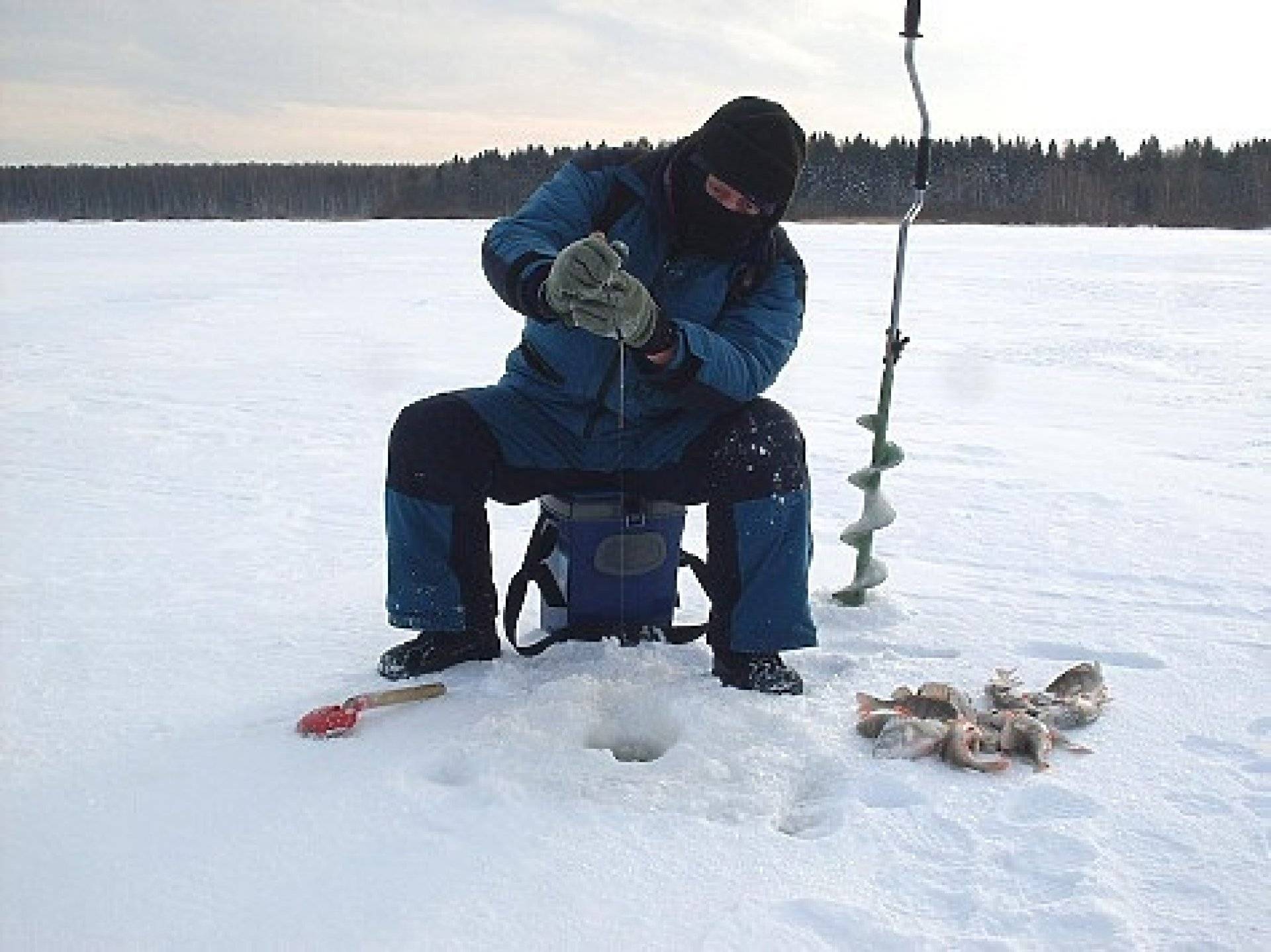 Зимняя рыбалка в Мороз