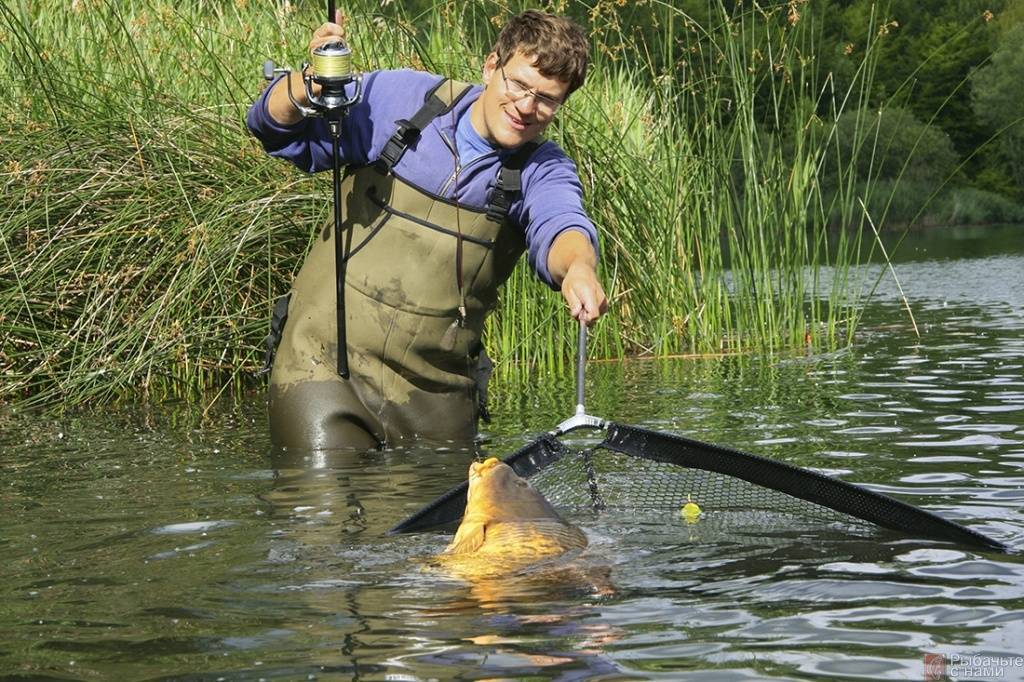 Как подсекать рыбу при ловле на удочку или фидер, техника и советы