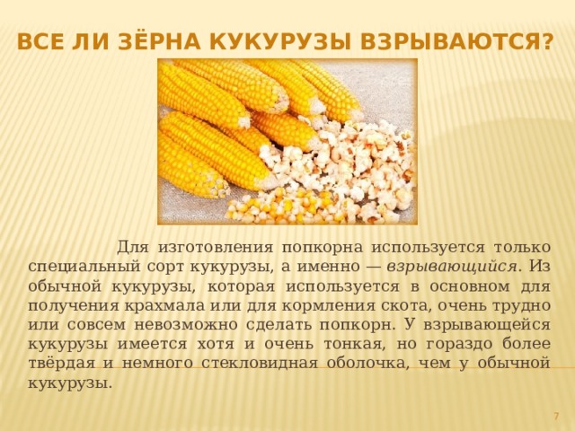 Можно ли жесткую кукурузу сделать мягкой. как сварить кукурузу мягкой и сочной: несколько секретов