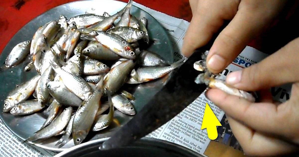 Как избавиться от запаха рыбы: наиболее эффективные способы