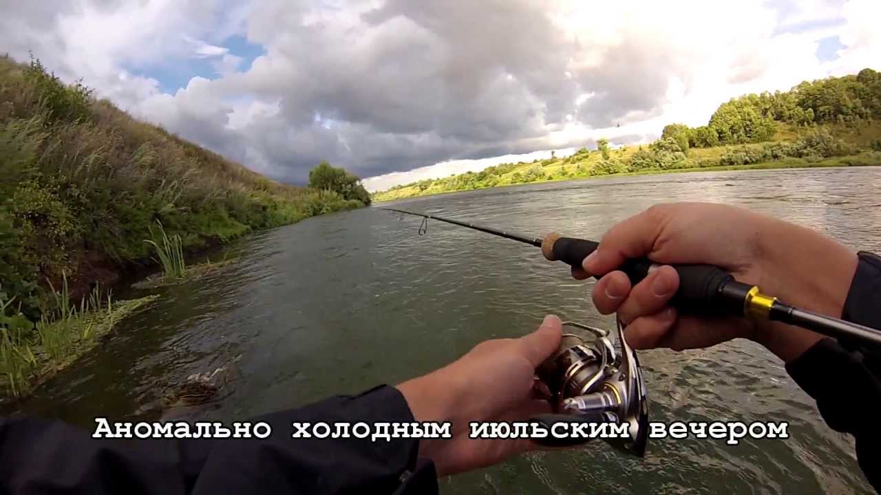 Какие внутренности у рыбы можно есть