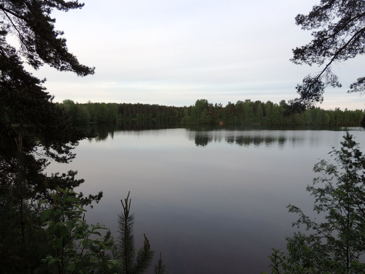 Длинное озеро, ленинградская область: описание, отдых, рыбалка