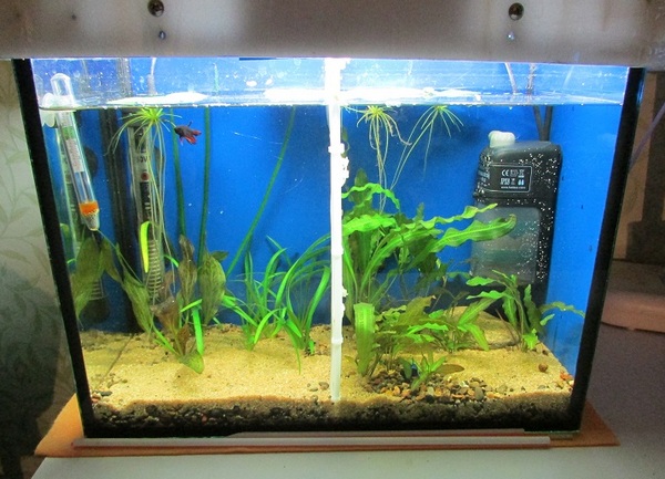 Маленький настольный аквариум с usb питанием, подсветкой, помпой, органайзером и часами