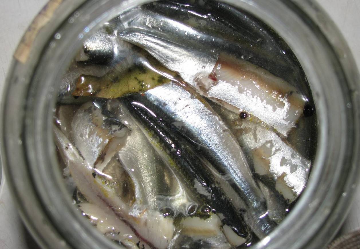 Как засолить красную рыбу в домашних условиях? вкусные ? рецепты засолки красной рыбы