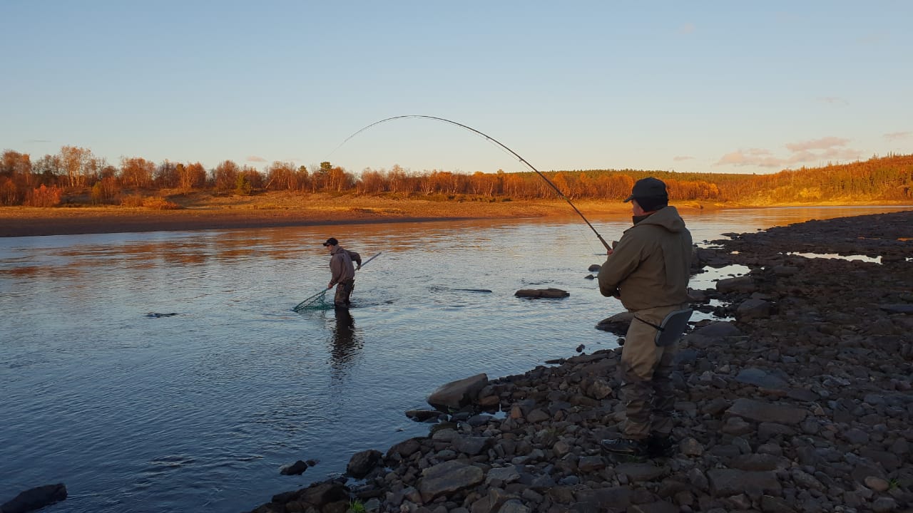 Рыбалка на кольском полуострове: лучшие места для ловли, какая рыба водится