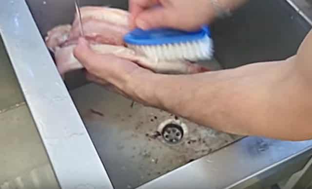 Учимся чистить щуку правильно