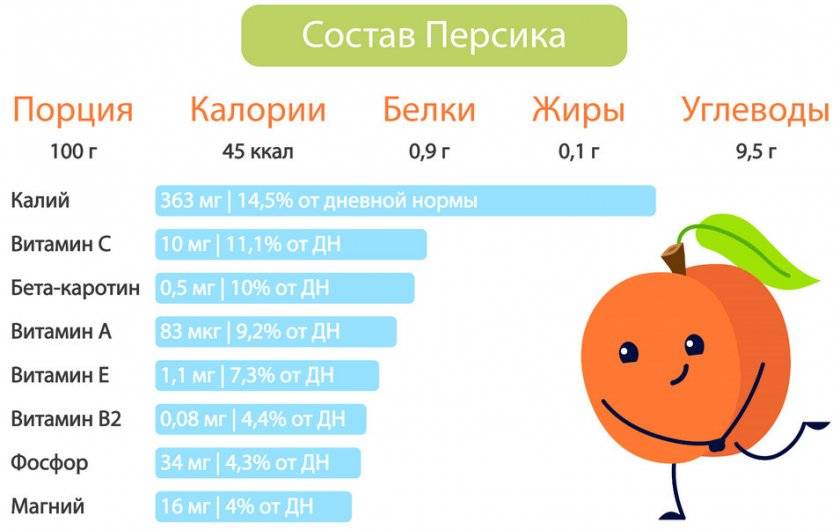 Польза и вред скумбрии для организма, калорийность на 100 грамм, бжу