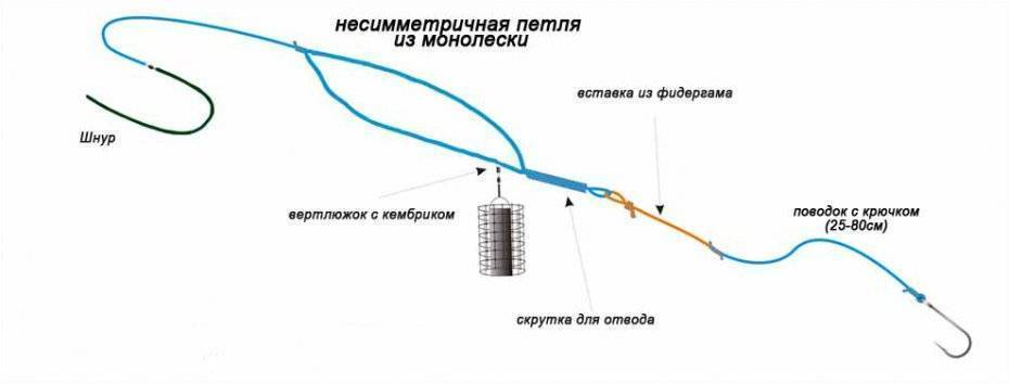 Петля гарднера