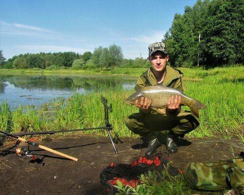 какая рыба водится в москве реке в раменском районе. Смотреть фото какая рыба водится в москве реке в раменском районе. Смотреть картинку какая рыба водится в москве реке в раменском районе. Картинка про какая рыба водится в москве реке в раменском районе. Фото какая рыба водится в москве реке в раменском районе