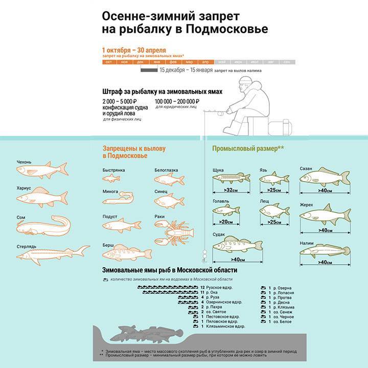 Рыбалка на клязьме в московской области: отзывы, какая рыба водится в клязьминском водохранилище
