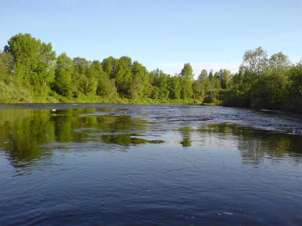 Река великая, псковская область: истоки, протяженность, глубина, сплавы, природа, рыбалка и отдых