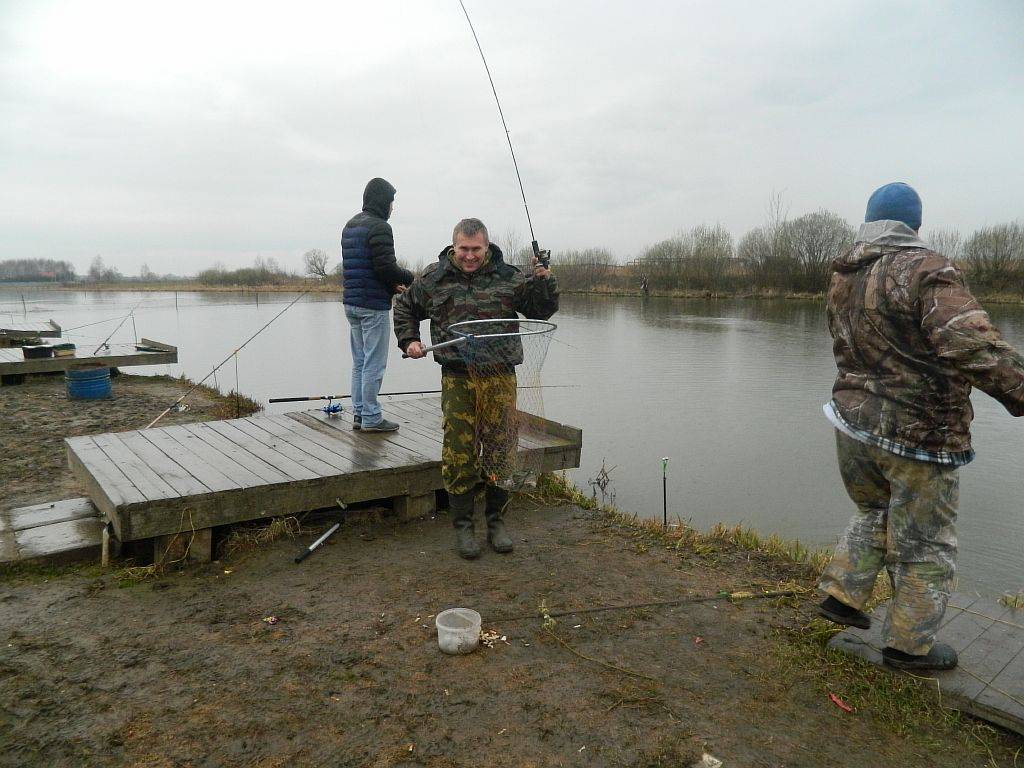 ᐉ сосенка - место для рыбака - ✅ ribalka-snasti.ru